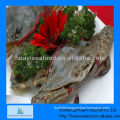 frozen blue swimming sea crab